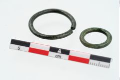 Foto von Bronzering (NHMW-PRAE-026150)